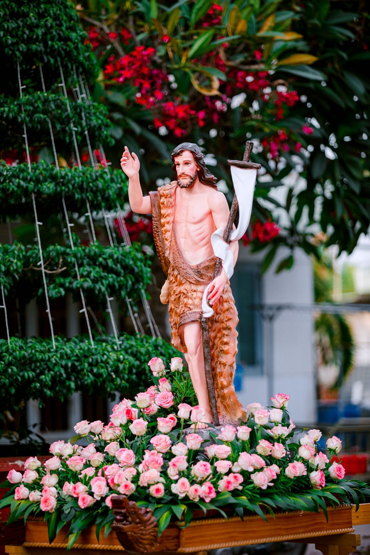 Andor de São João Batista decorado com rosas cor-de-rosa e brancas e folhagem verde para procissão, pela Florabella, florista em Fafe